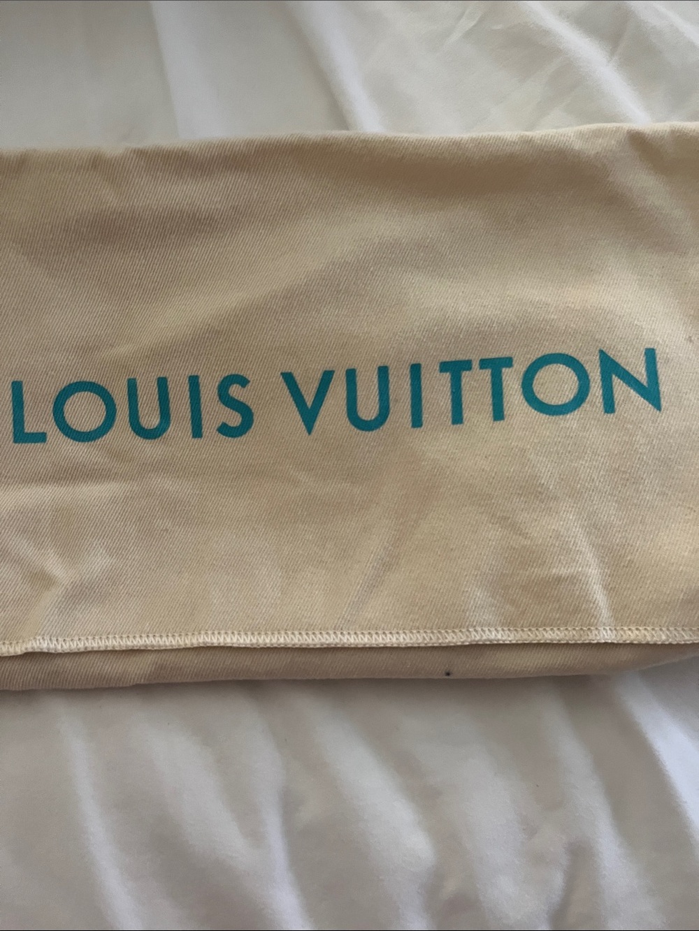 Louis Vuitton Beige Dust Cover with Teal Lettering - Picture 4 of 4
